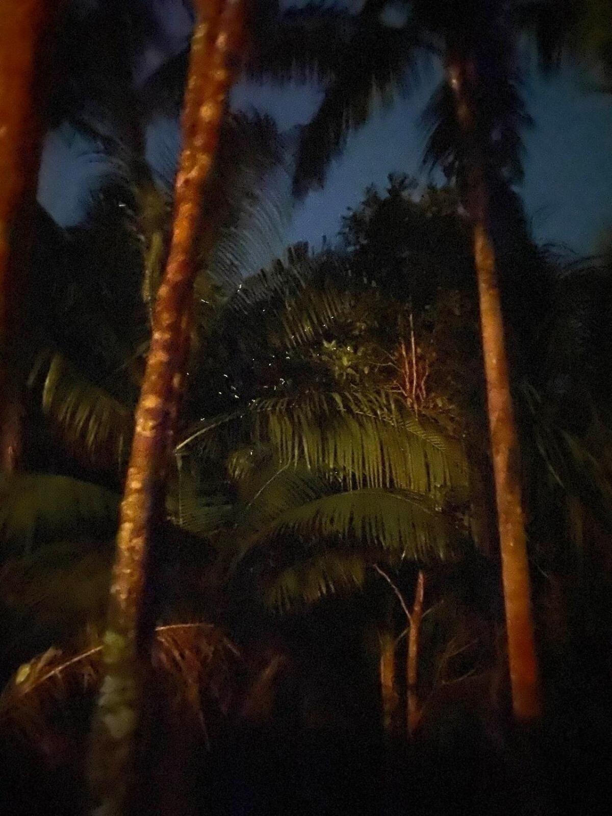 Firefly Treehouse Cafe And Bar Ξενοδοχείο Lazi Εξωτερικό φωτογραφία